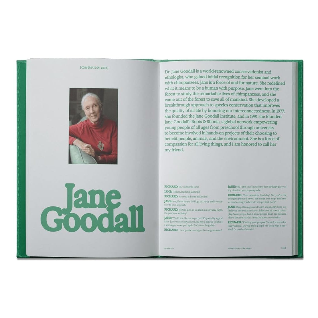 Flamingo Estate: The Guide to Becoming Alive book inside