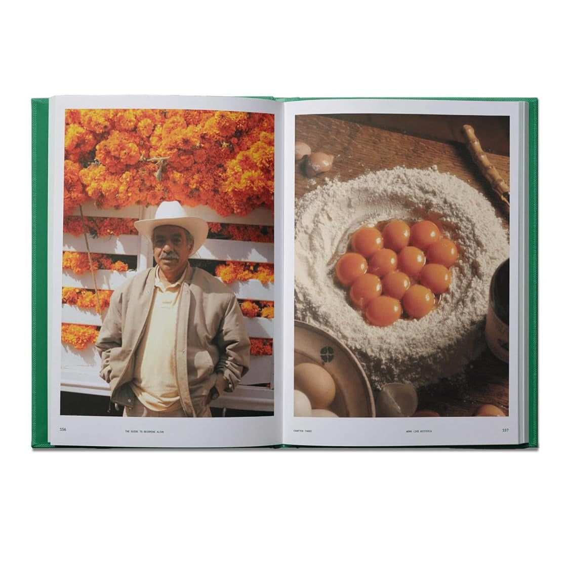 Flamingo Estate: The Guide to Becoming Alive book inside