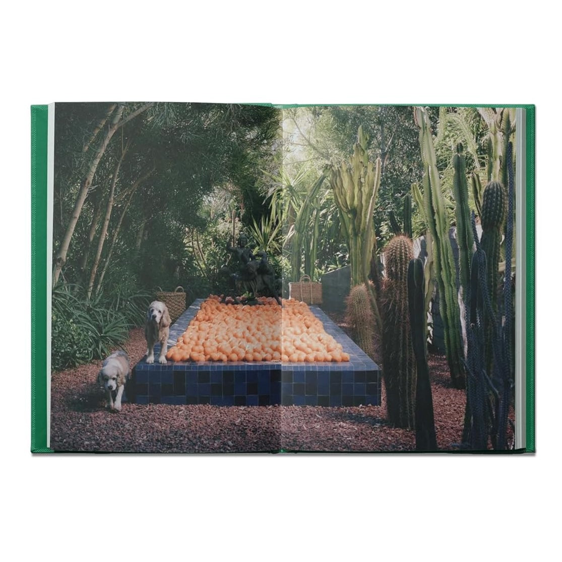 Flamingo Estate: The Guide to Becoming Alive book inside