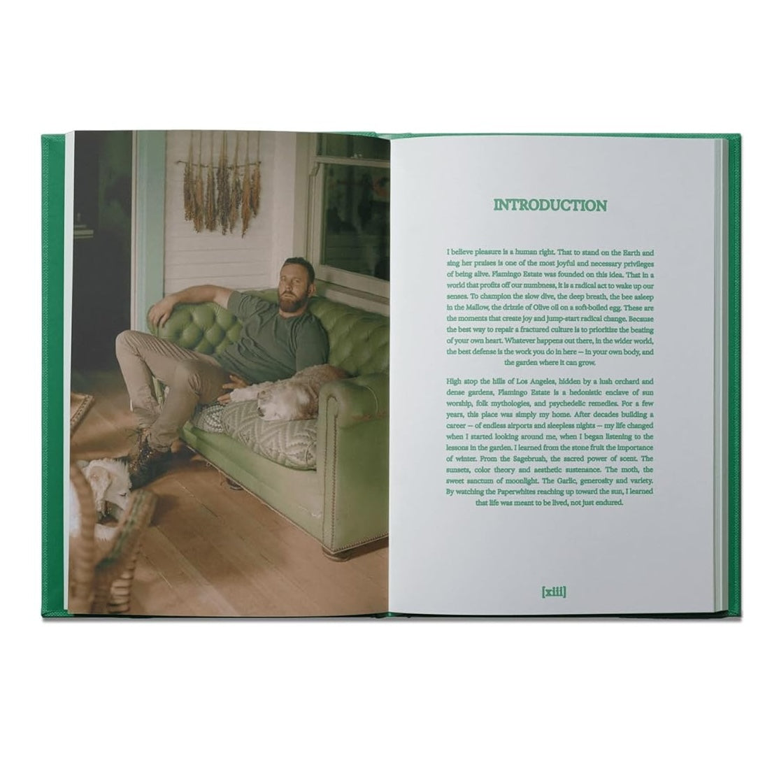 Flamingo Estate: The Guide to Becoming Alive book inside