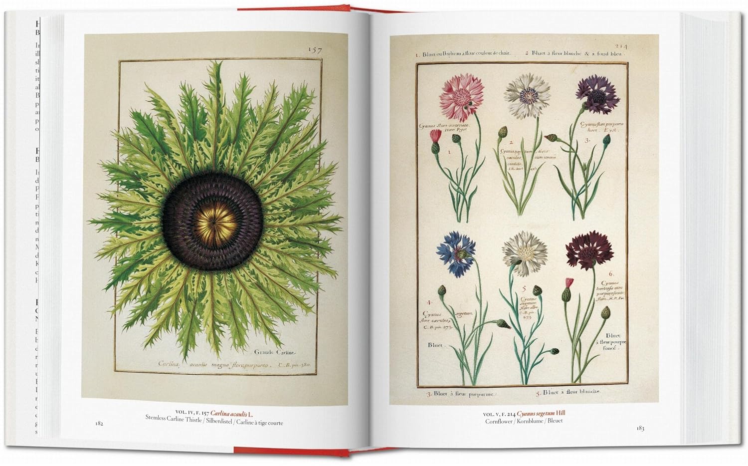 A Garden Eden book inside