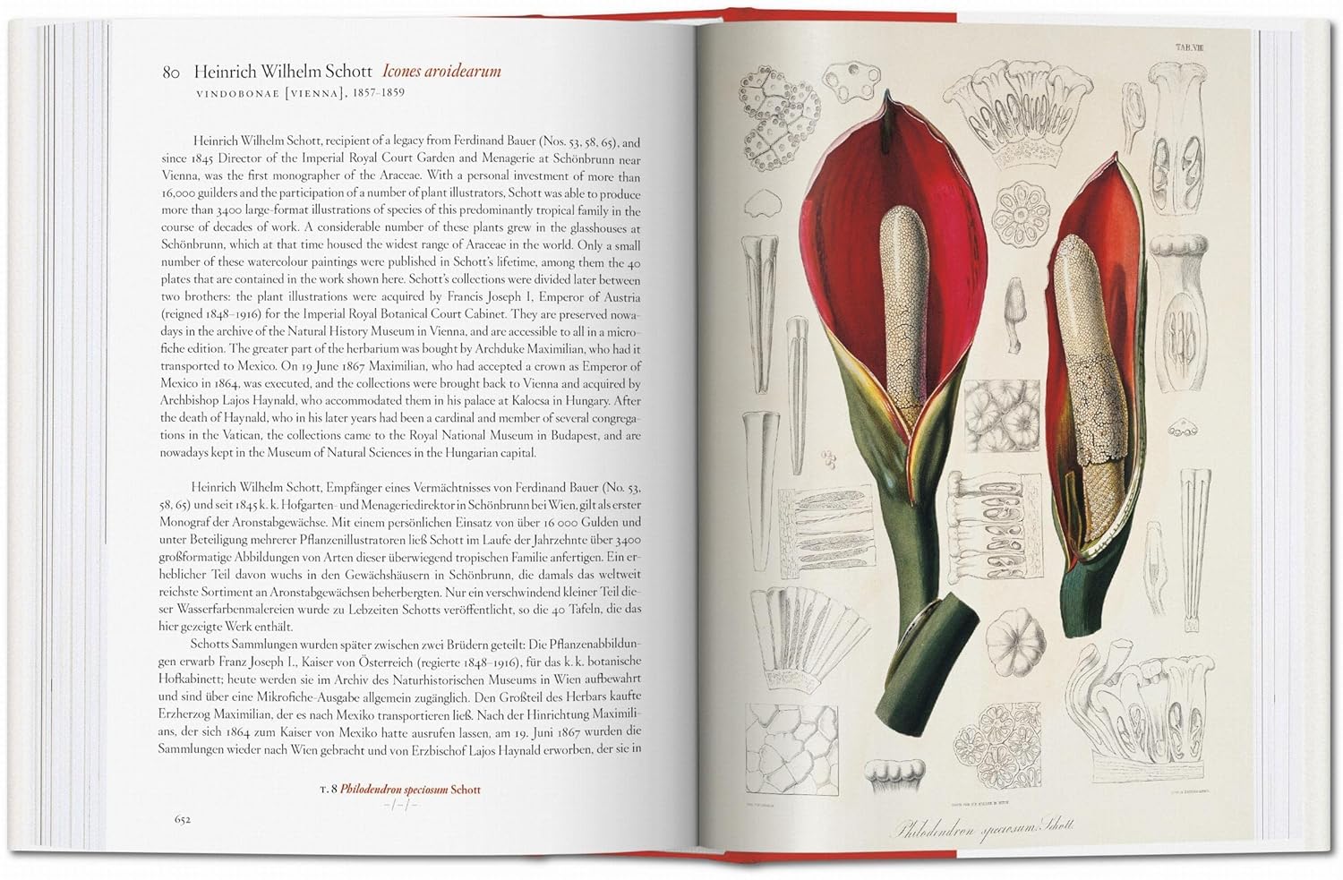 A Garden Eden book inside