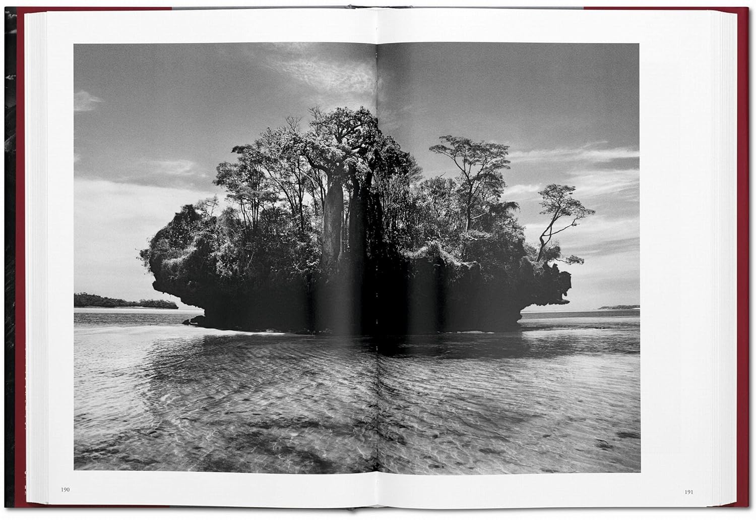 GENESIS (Sebastiao Salgado) book inside