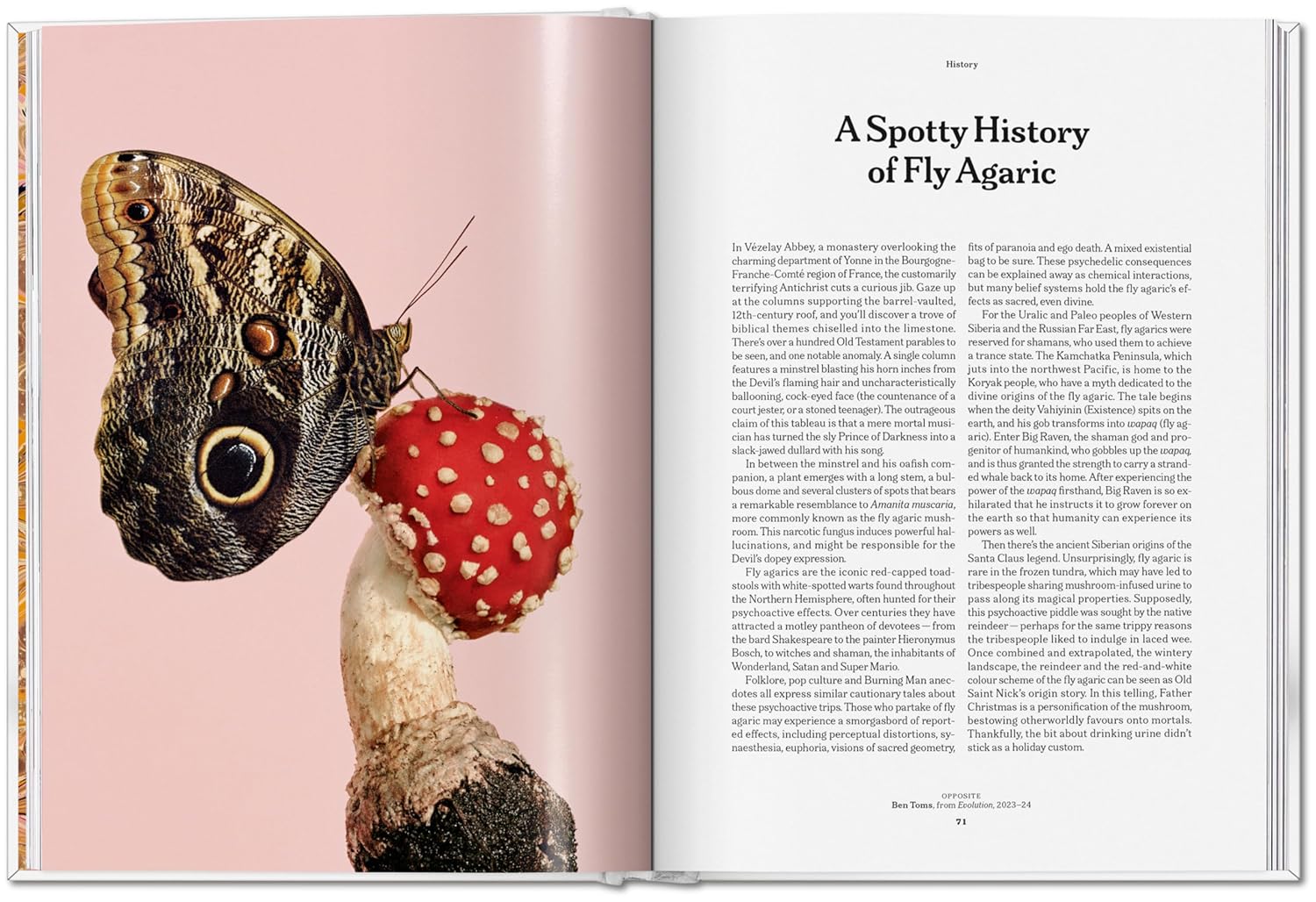 The Gourmand's Mushroom book inside
