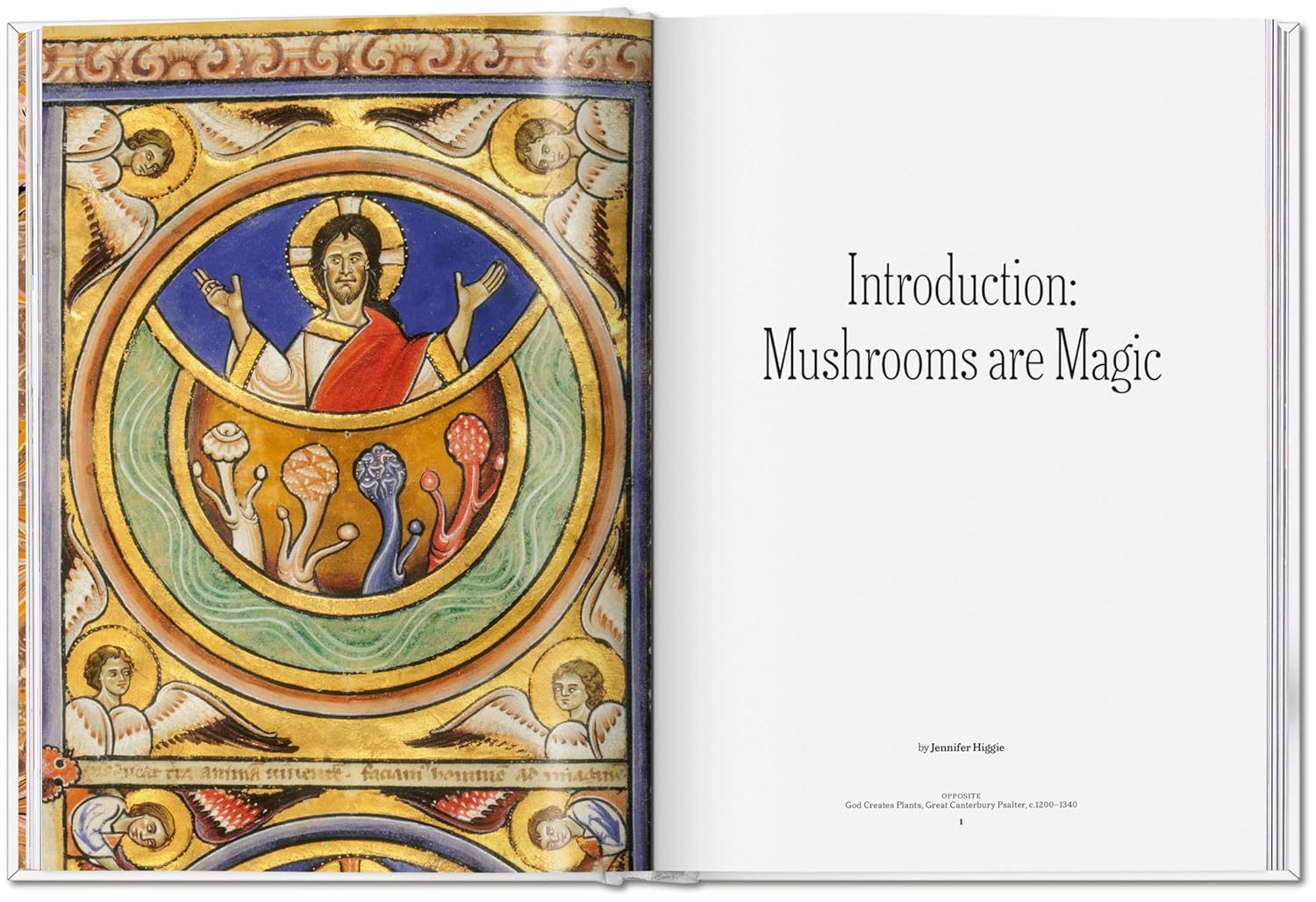 The Gourmand's Mushroom book inside