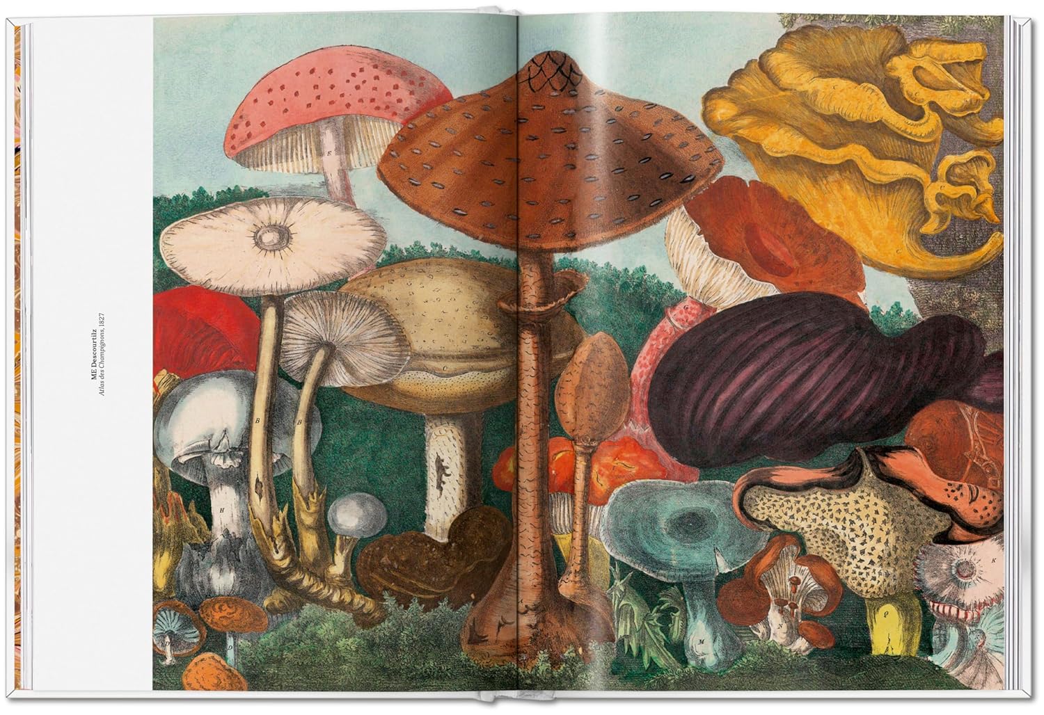 The Gourmand's Mushroom book inside