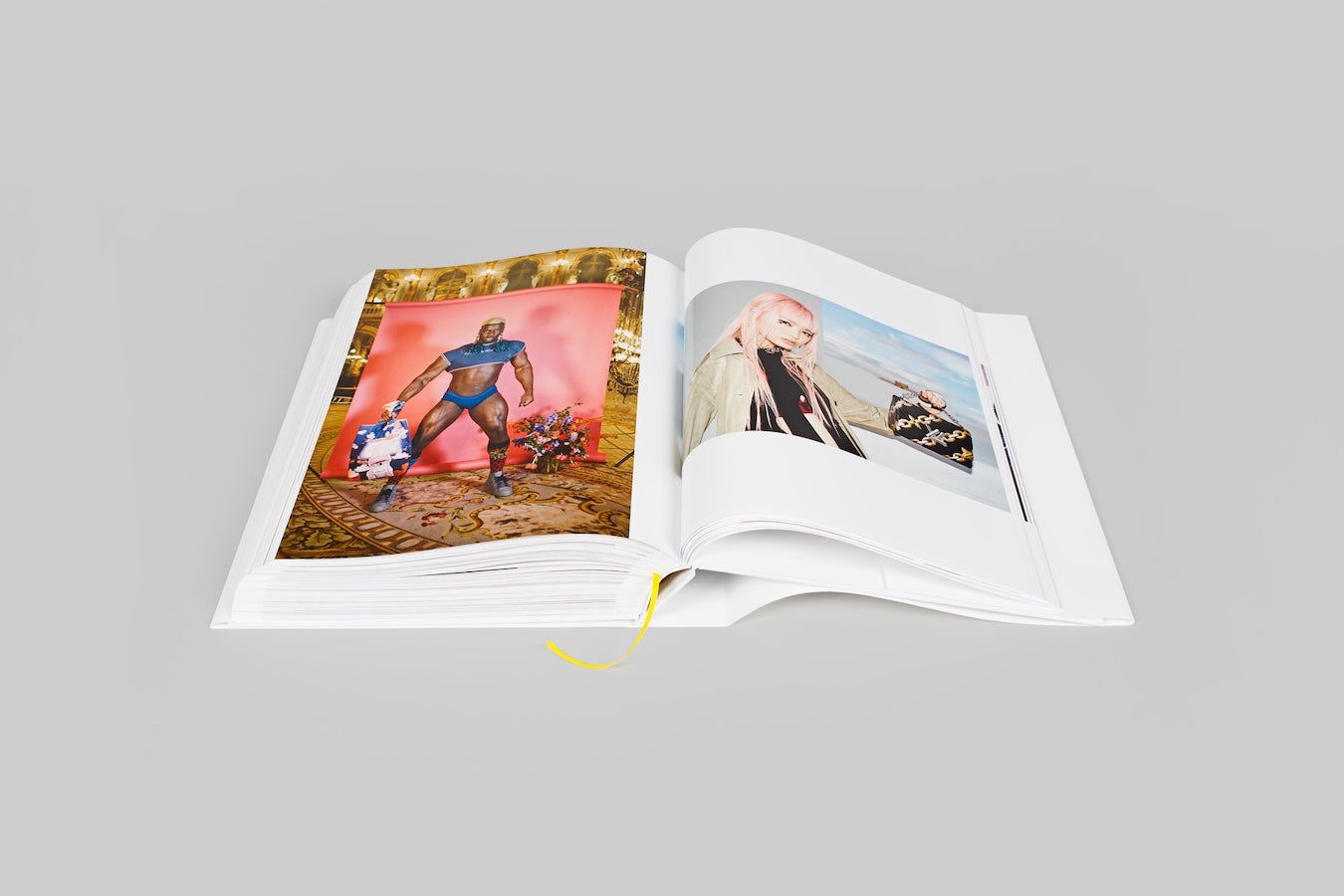 Handbags book inside