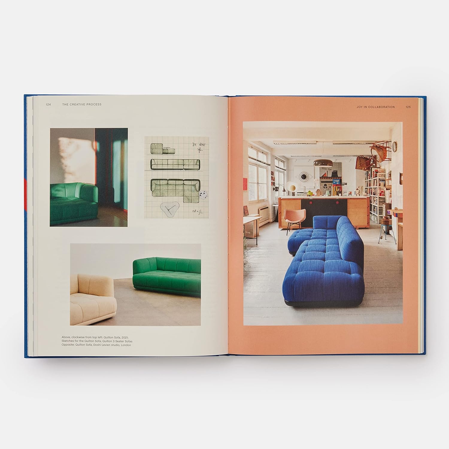 Hay book inside