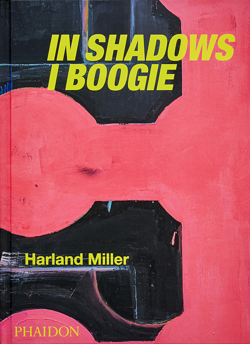 In Shadows I Boogie book cover