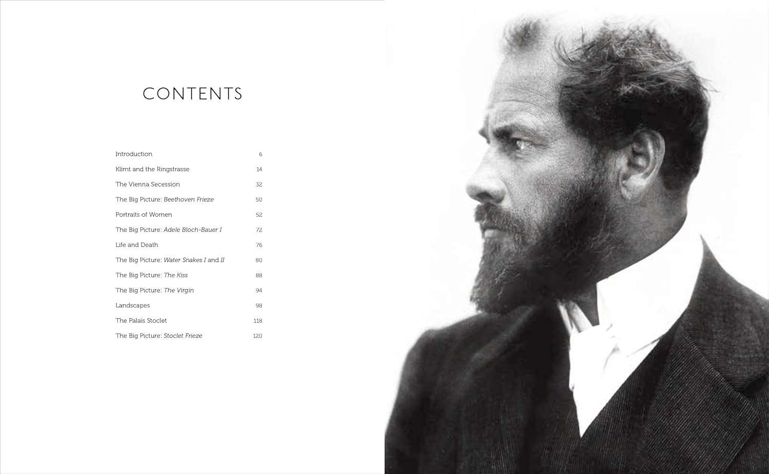 Klimt: The Bigger Picture book inside