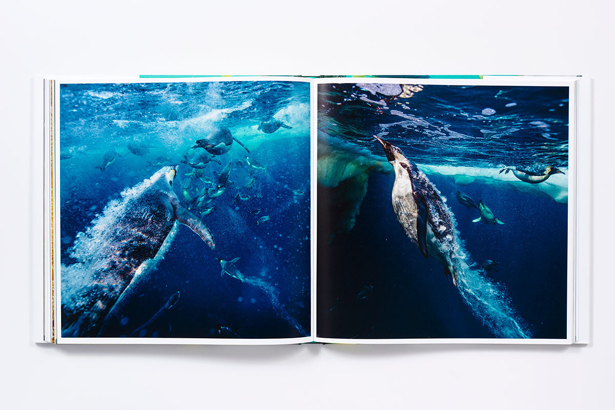 Life love sea book inside