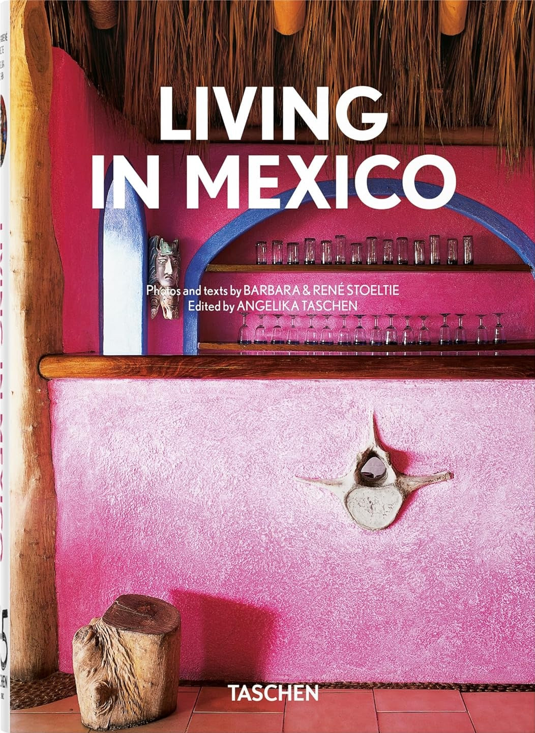Living in Mexico book cover