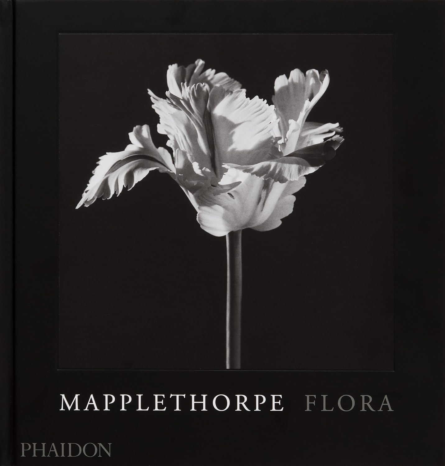 Mapplethorpe Flora book cover