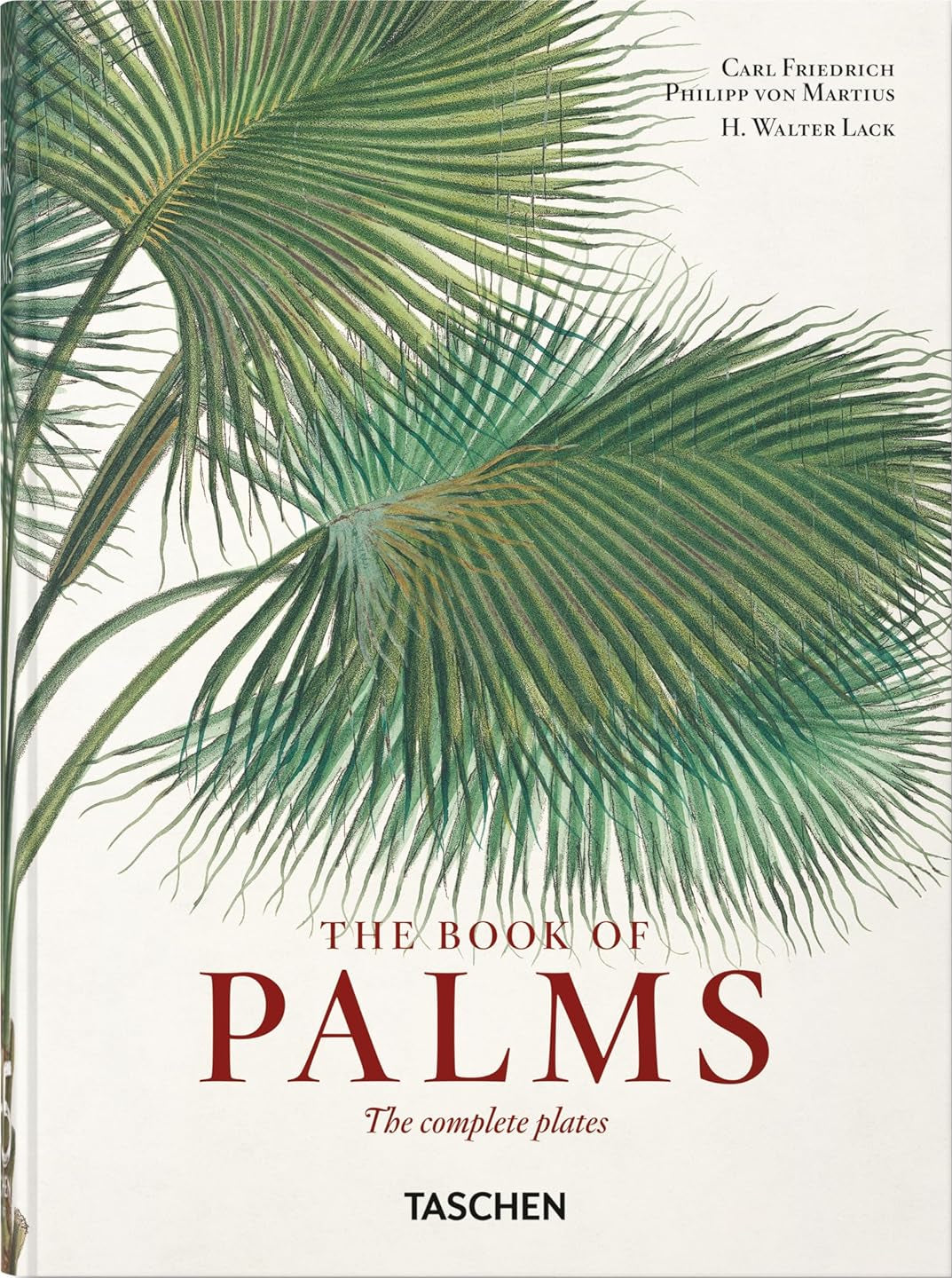 The Book of Palms book cover