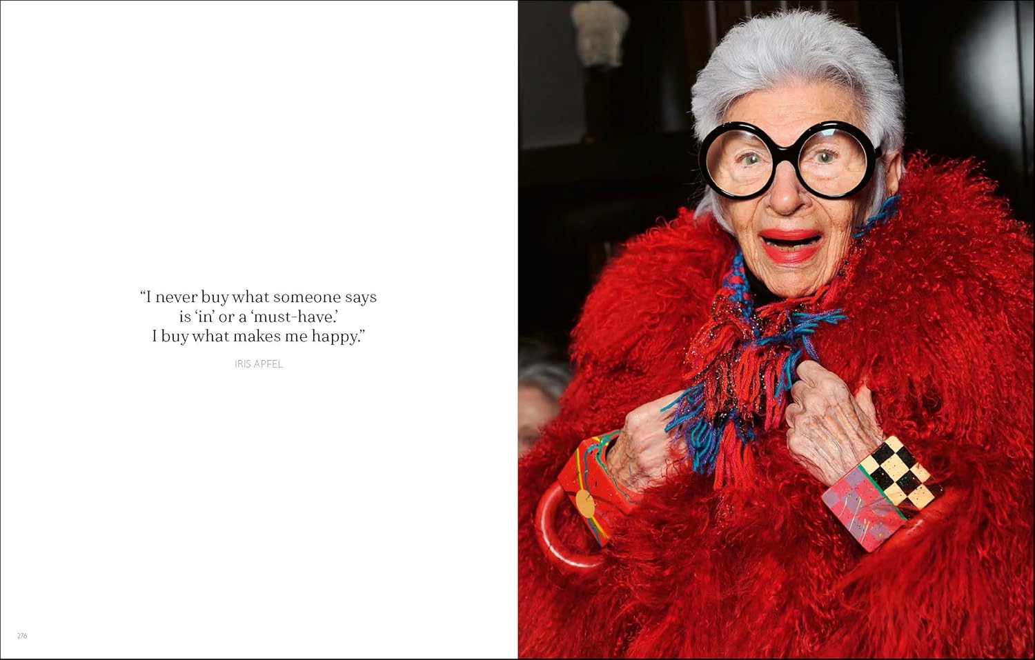 New York in Fashion book inside