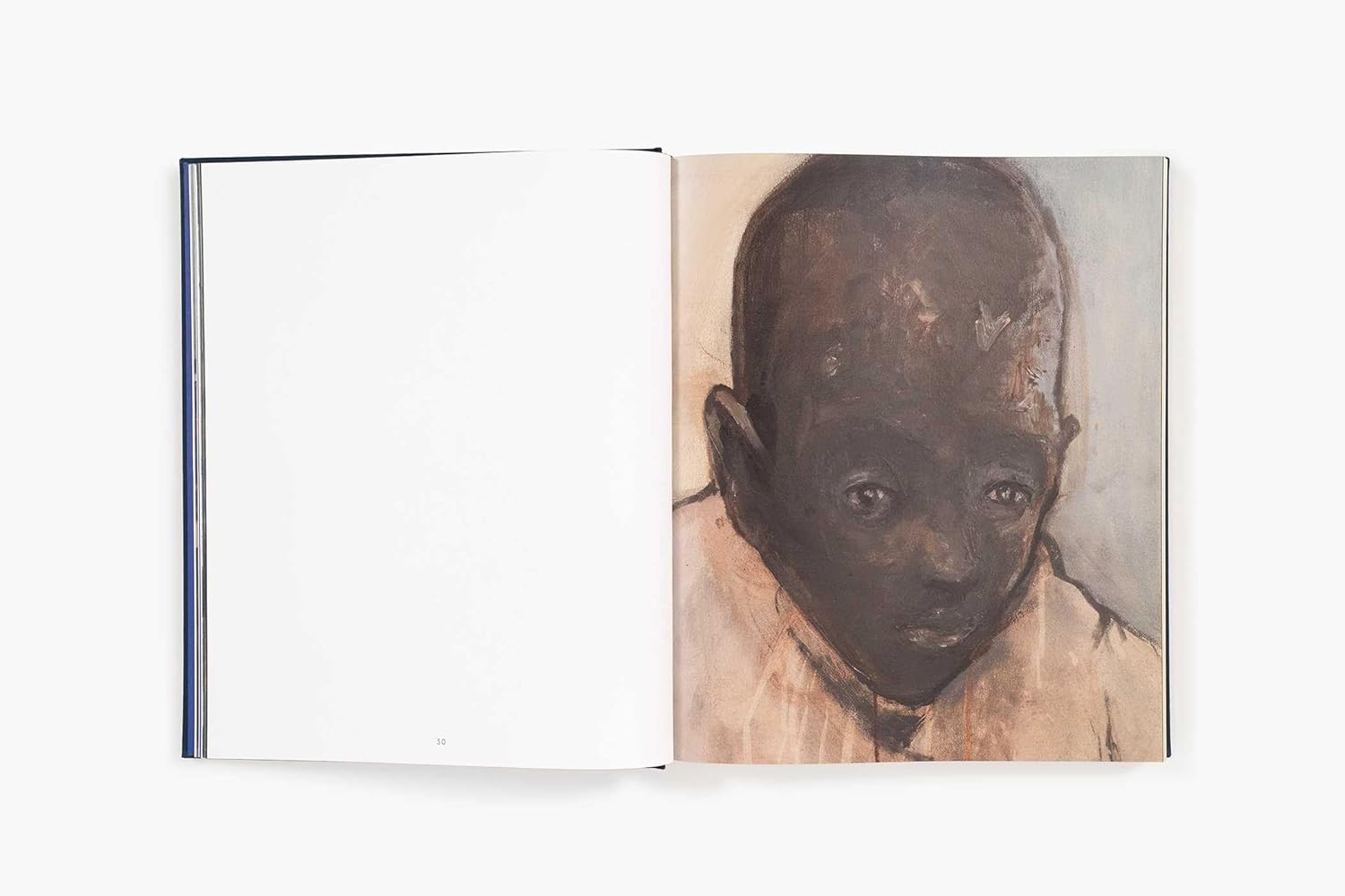 Noah davis in detail book inside