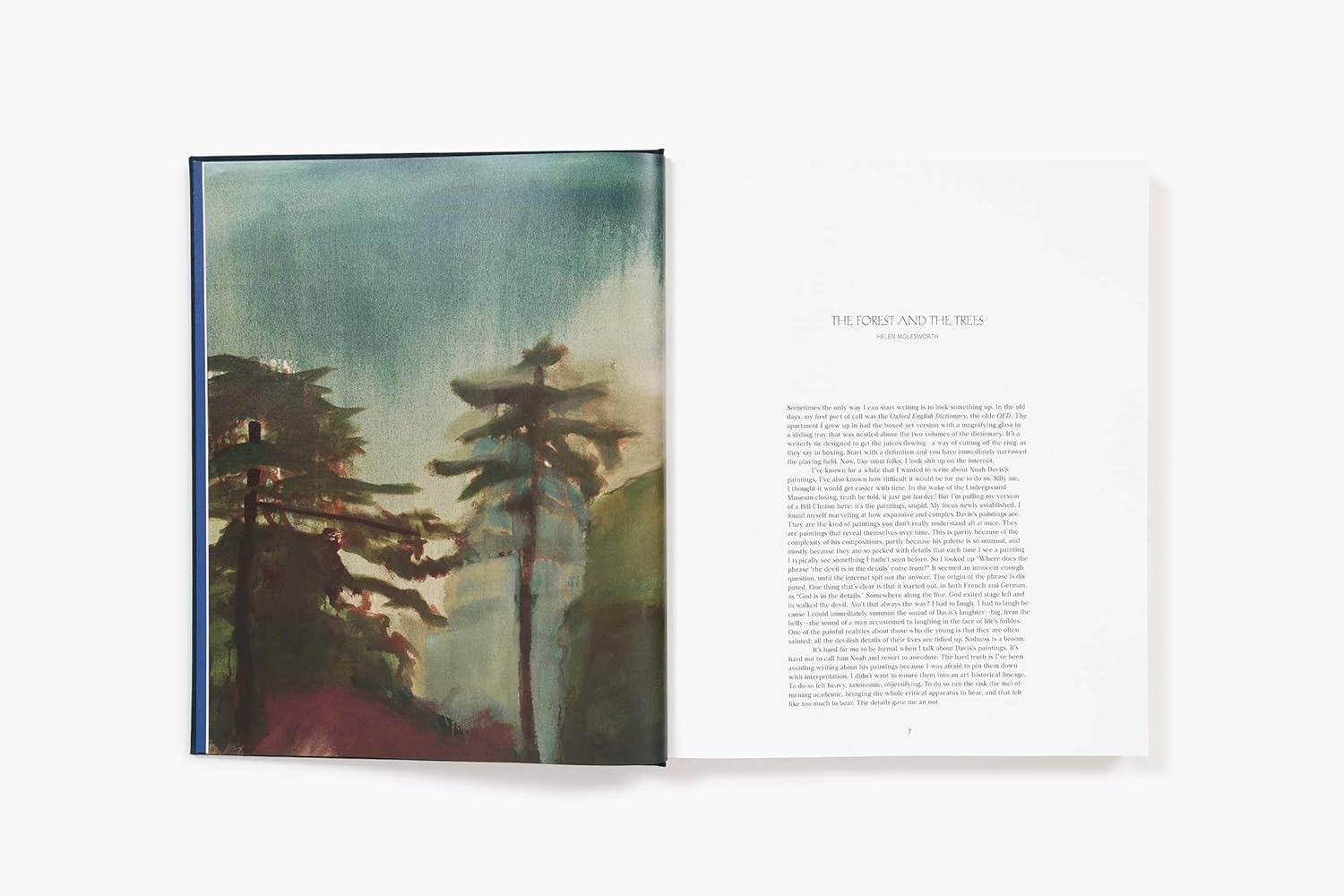 Noah davis in detail book inside