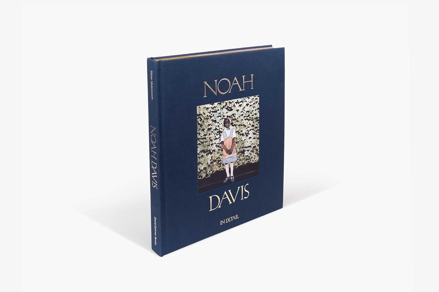 Noah davis in detail book side