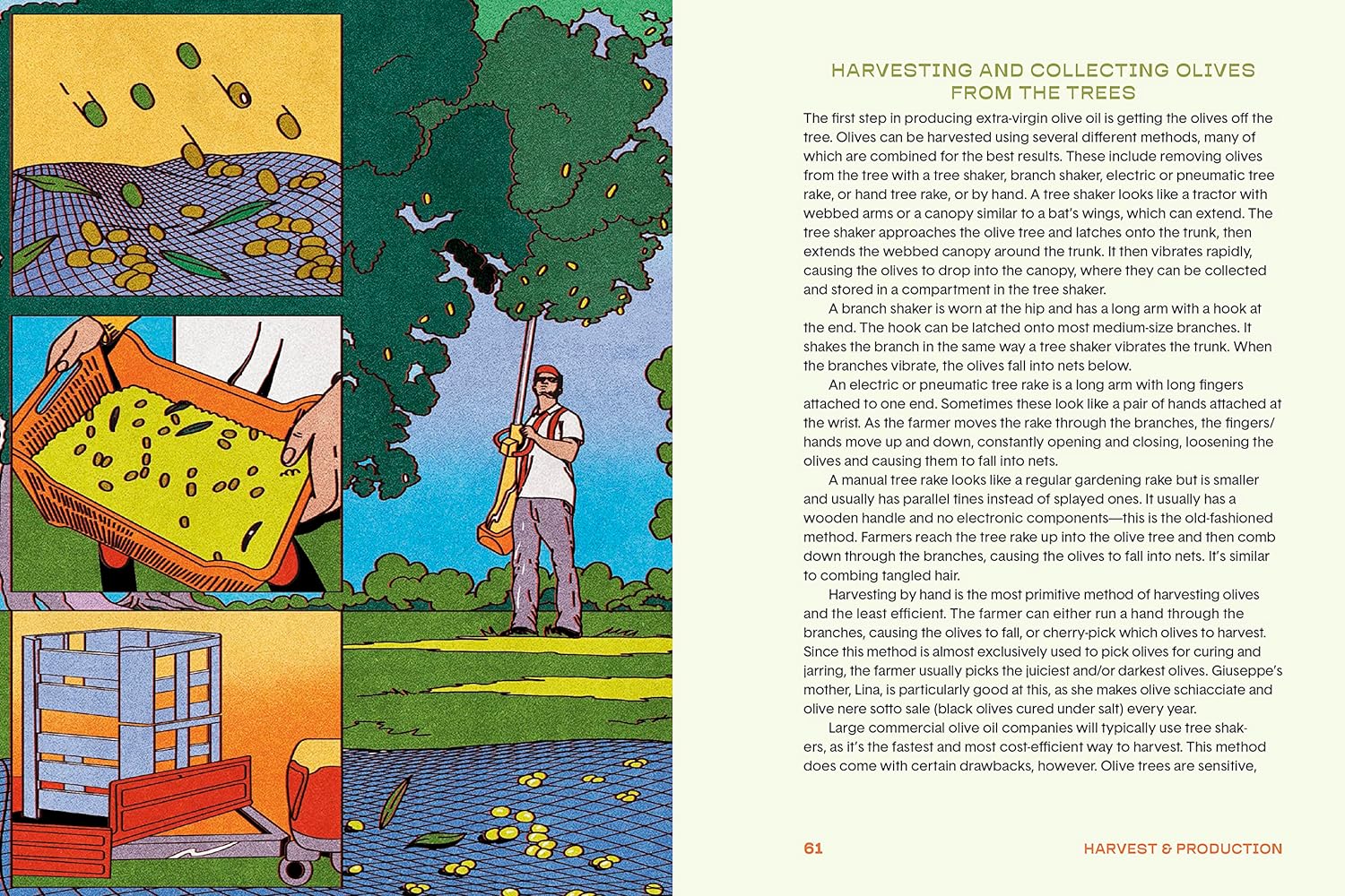 Olive oil enthusiast book inside