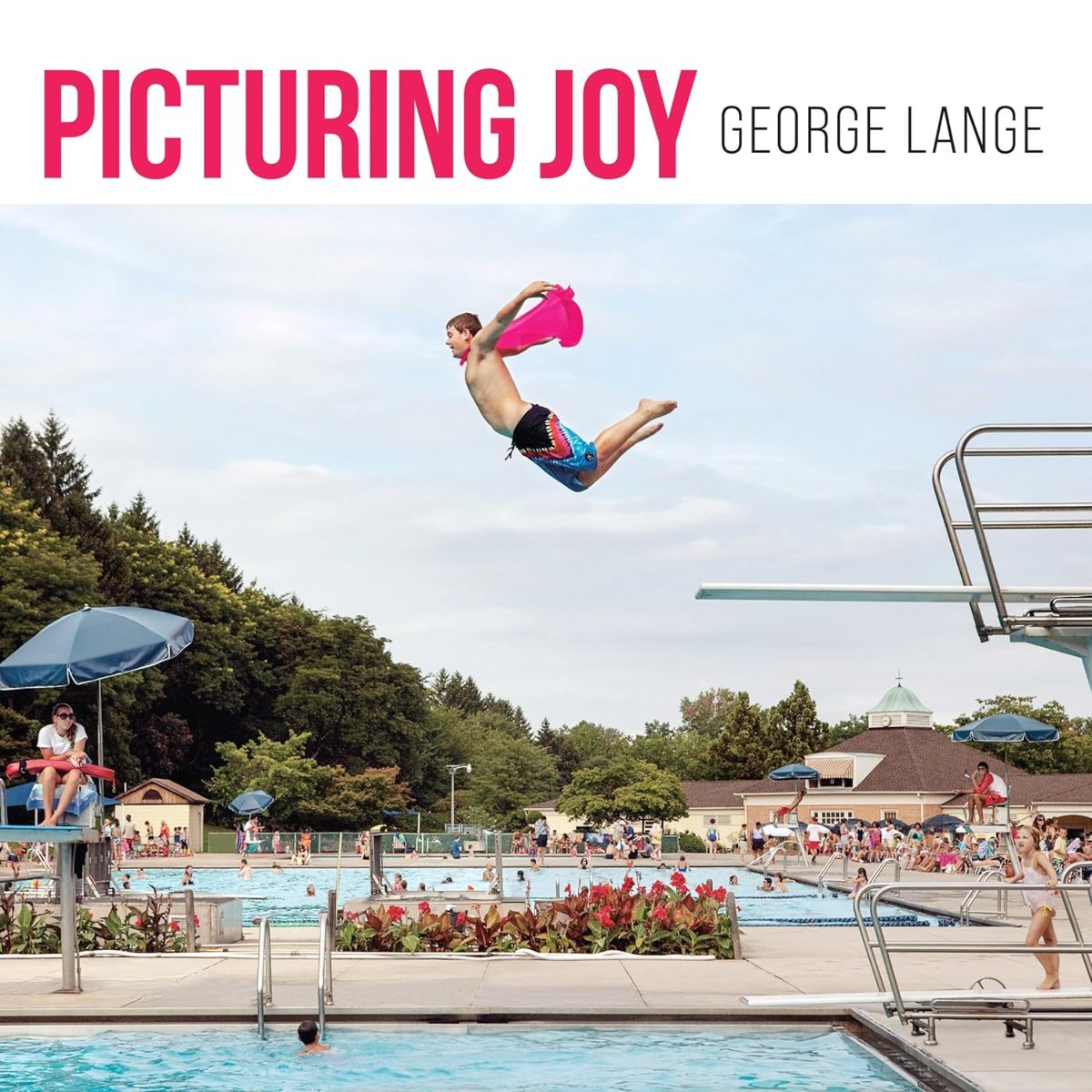 Picturing Joy: Stories of Connection book cover