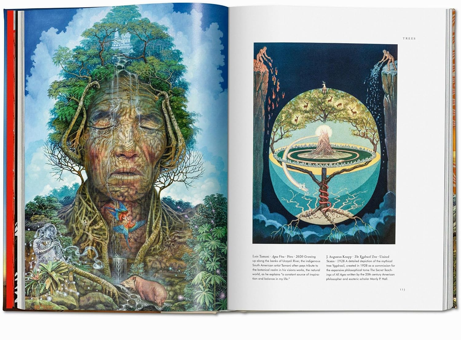 Plant magick book inside