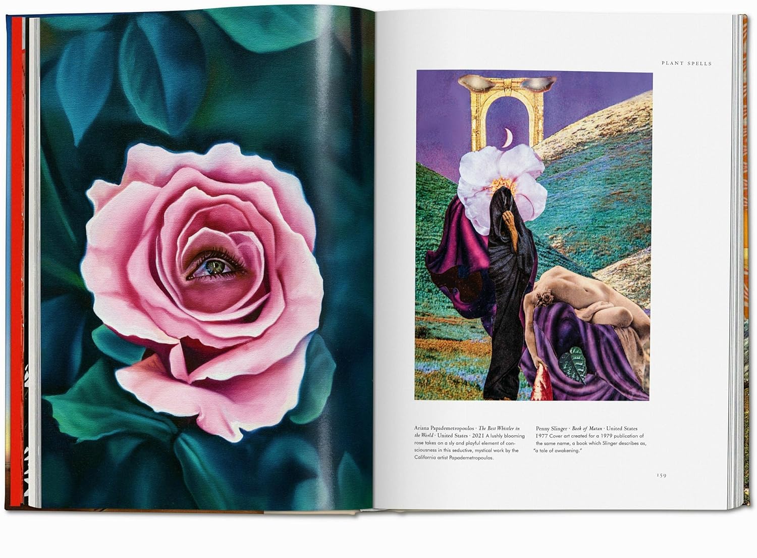Plant magick book inside