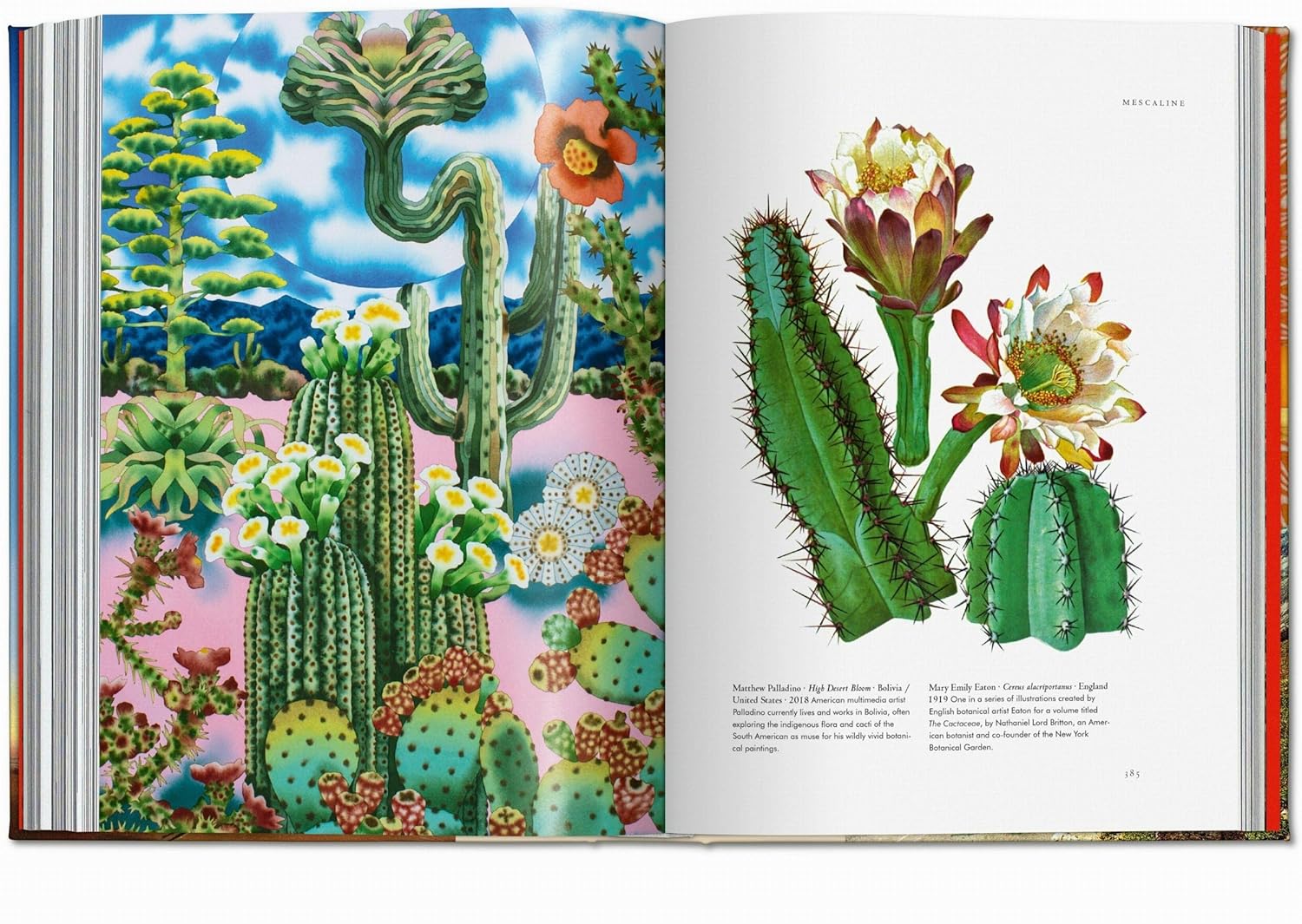 Plant magick book inside
