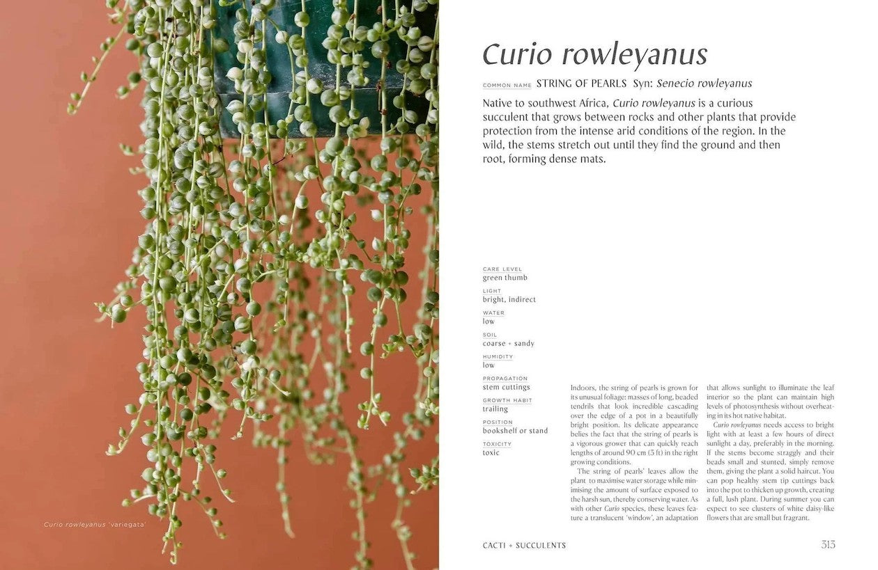 Plantopedia book inside