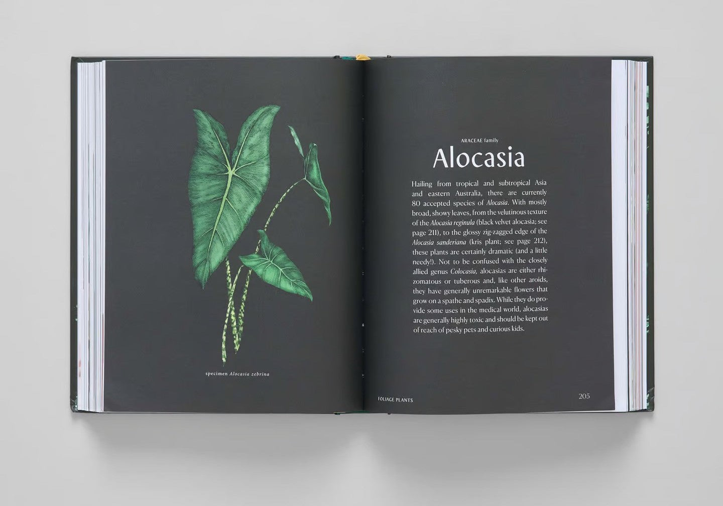 Plantopedia book inside