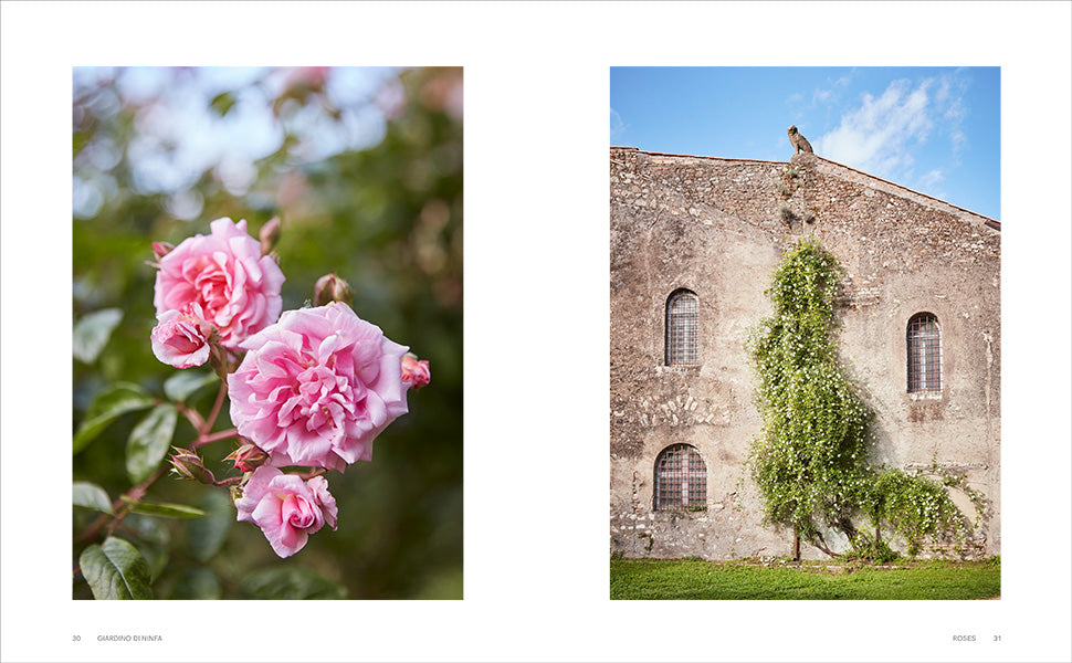 Roses in the Garden book inside