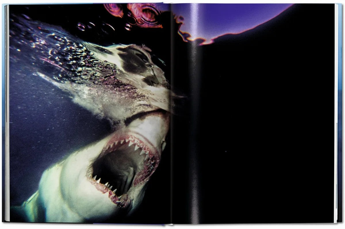 Sharks book inside