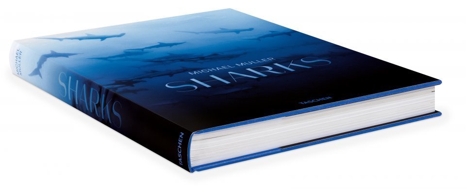 Sharks book cover side