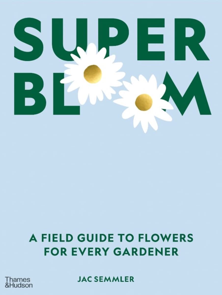 Super Bloom book cover