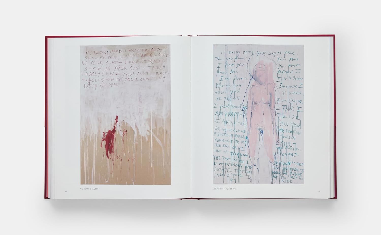 Tracey Emin Paintings book inside