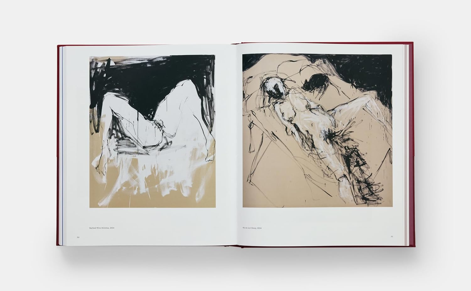 Tracey Emin Paintings book inside
