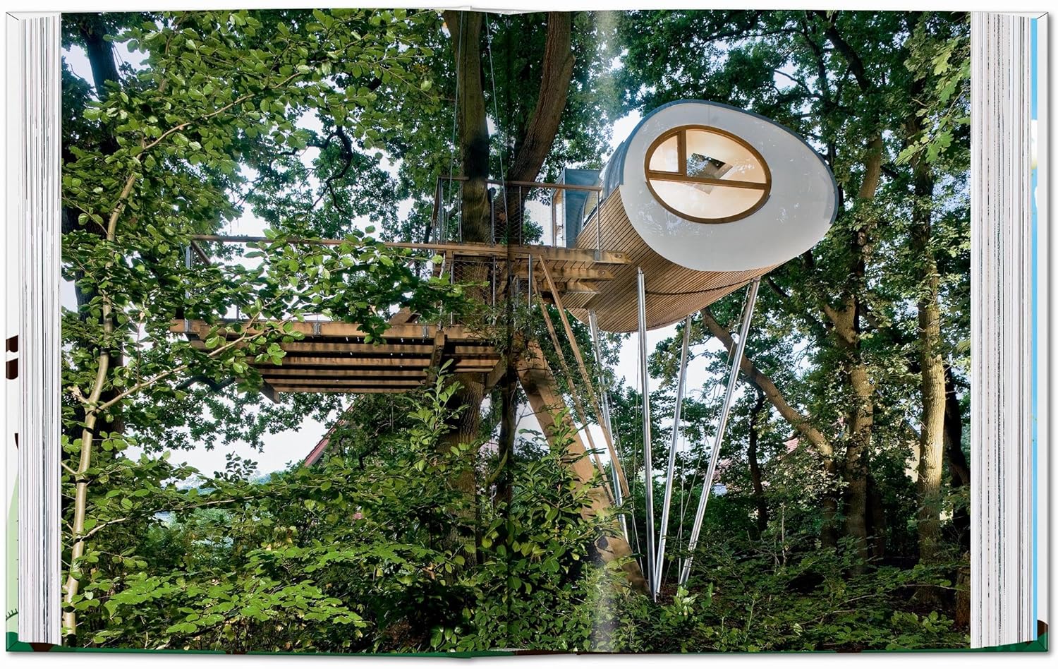 Tree Houses (45th Edition) book inside
