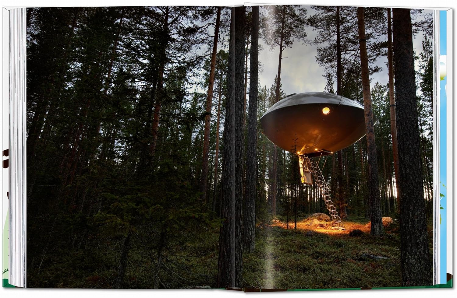 Tree Houses (45th Edition) book inside
