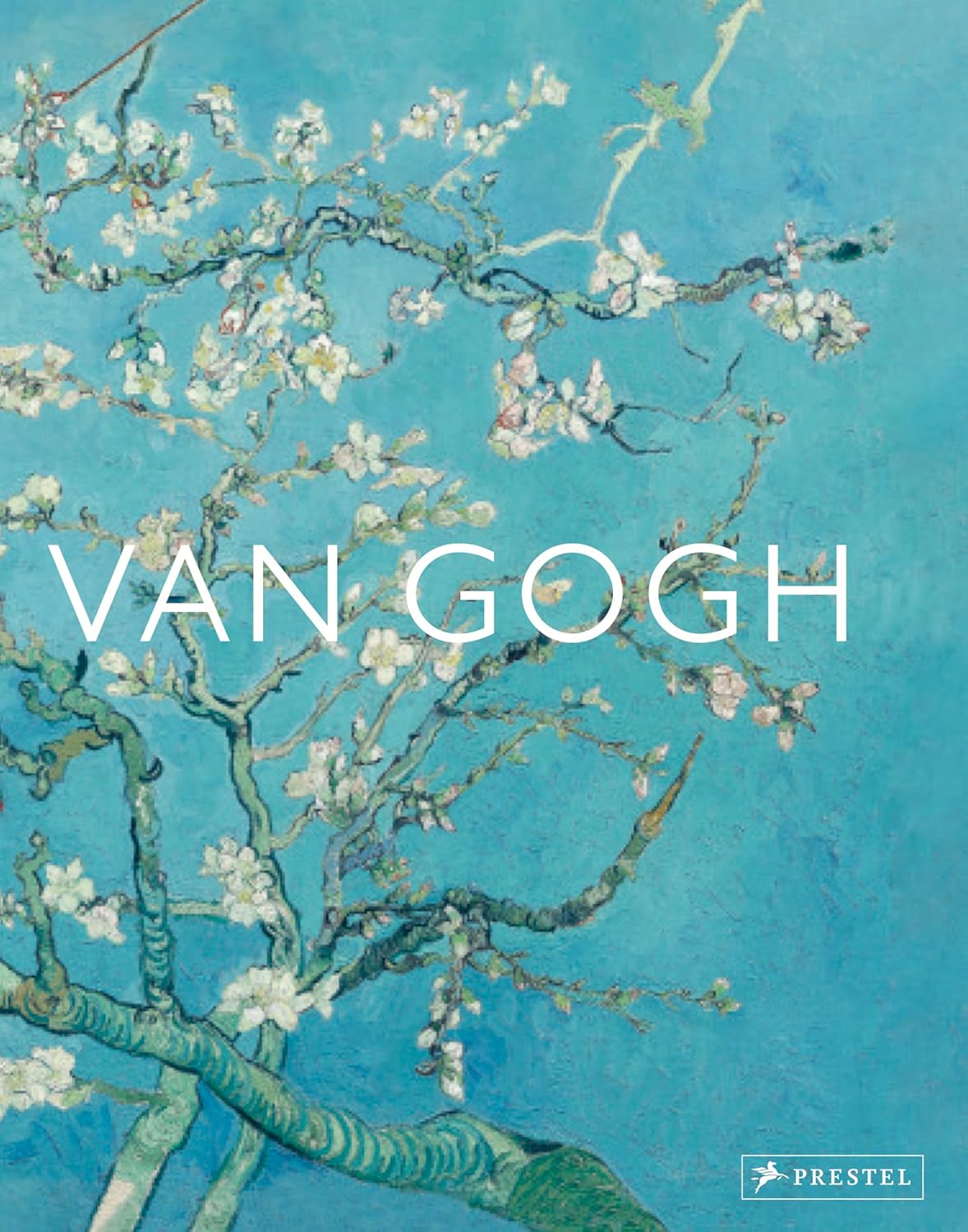 Van Gogh: The Bigger Picture book cover