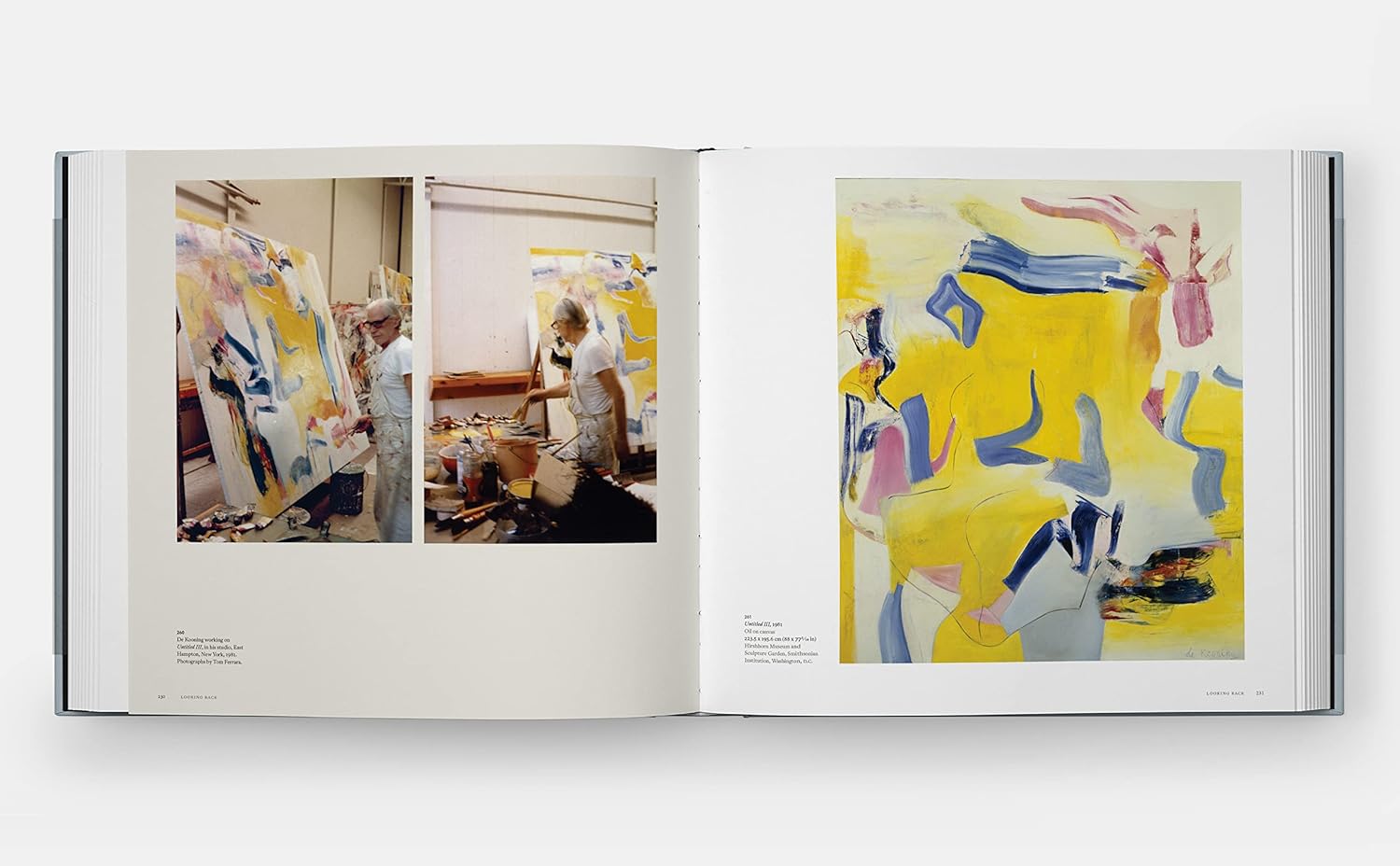 A Way of Living: The Art of Willem de Kooning book inside