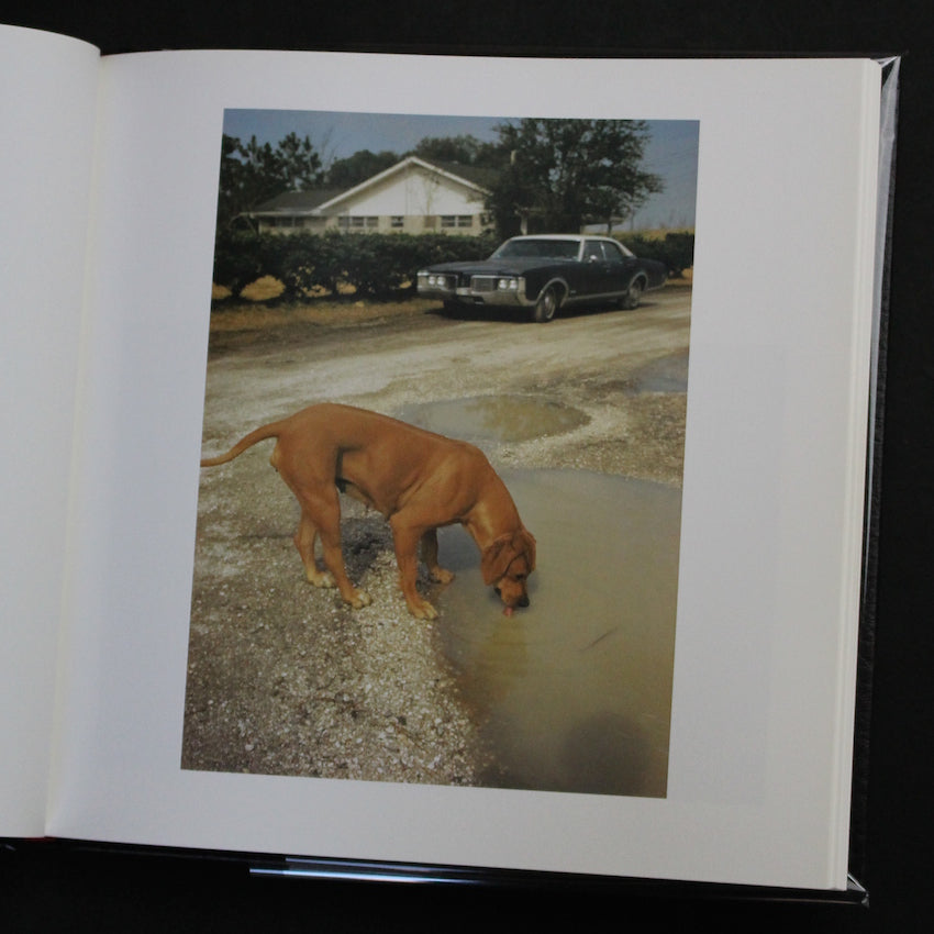 William egglestons guide book inside