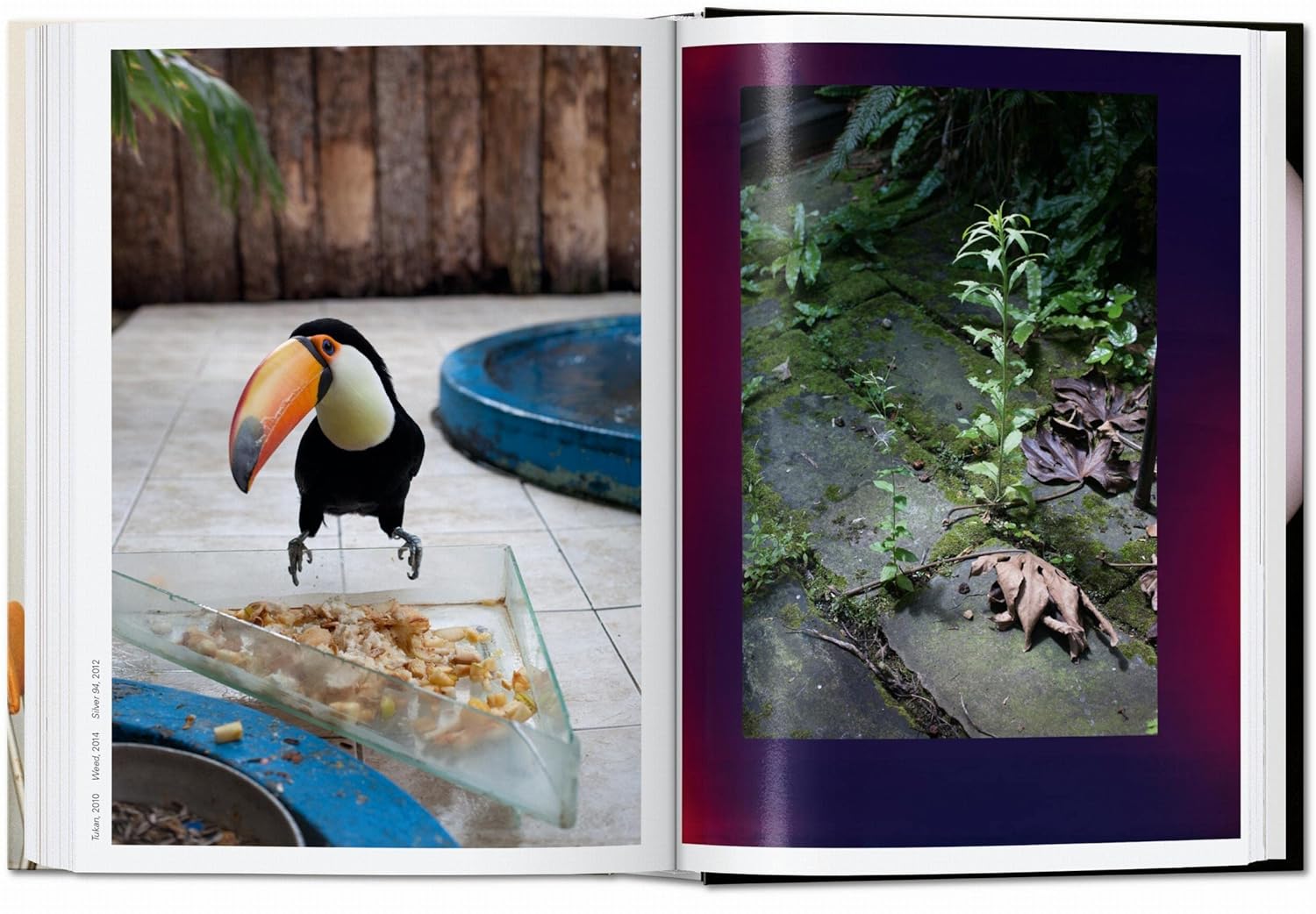 Wolfgang Tillmans: Four Books inside