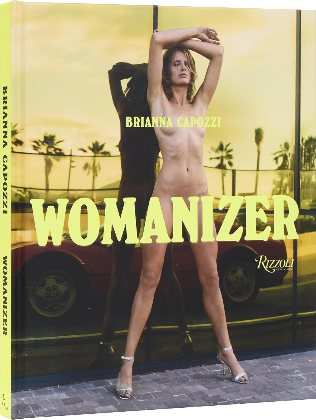 Womanizer book cover