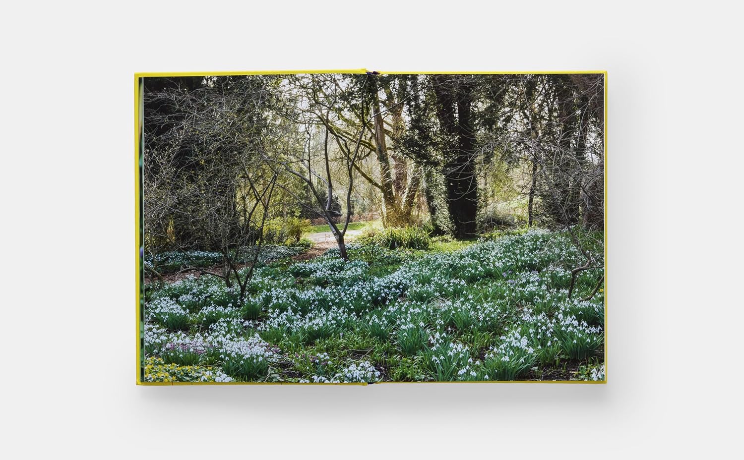 A Year in Bloom book inside