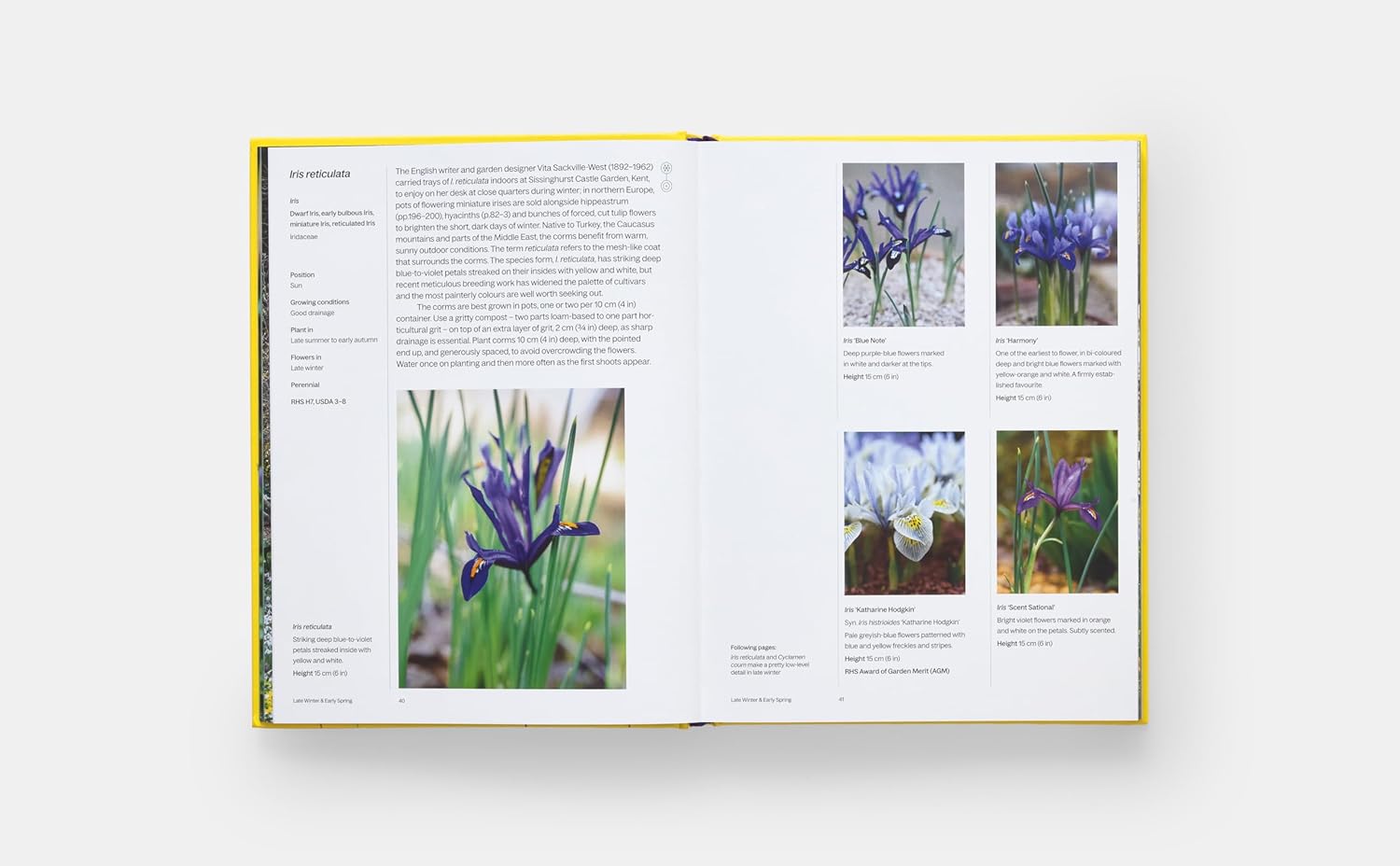 A Year in Bloom book inside