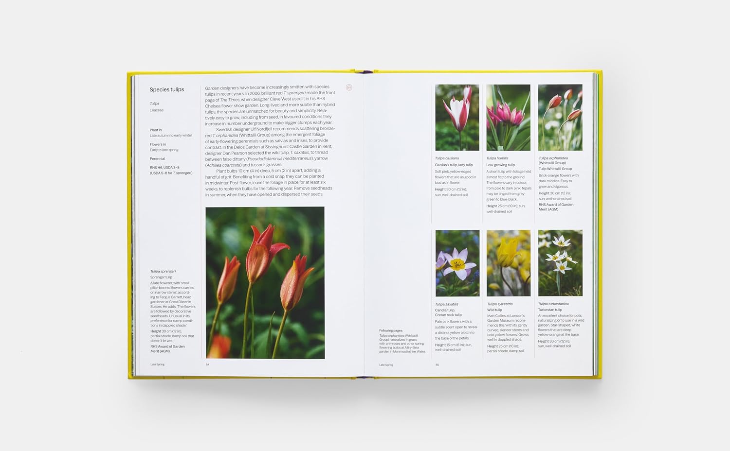 A Year in Bloom book inside