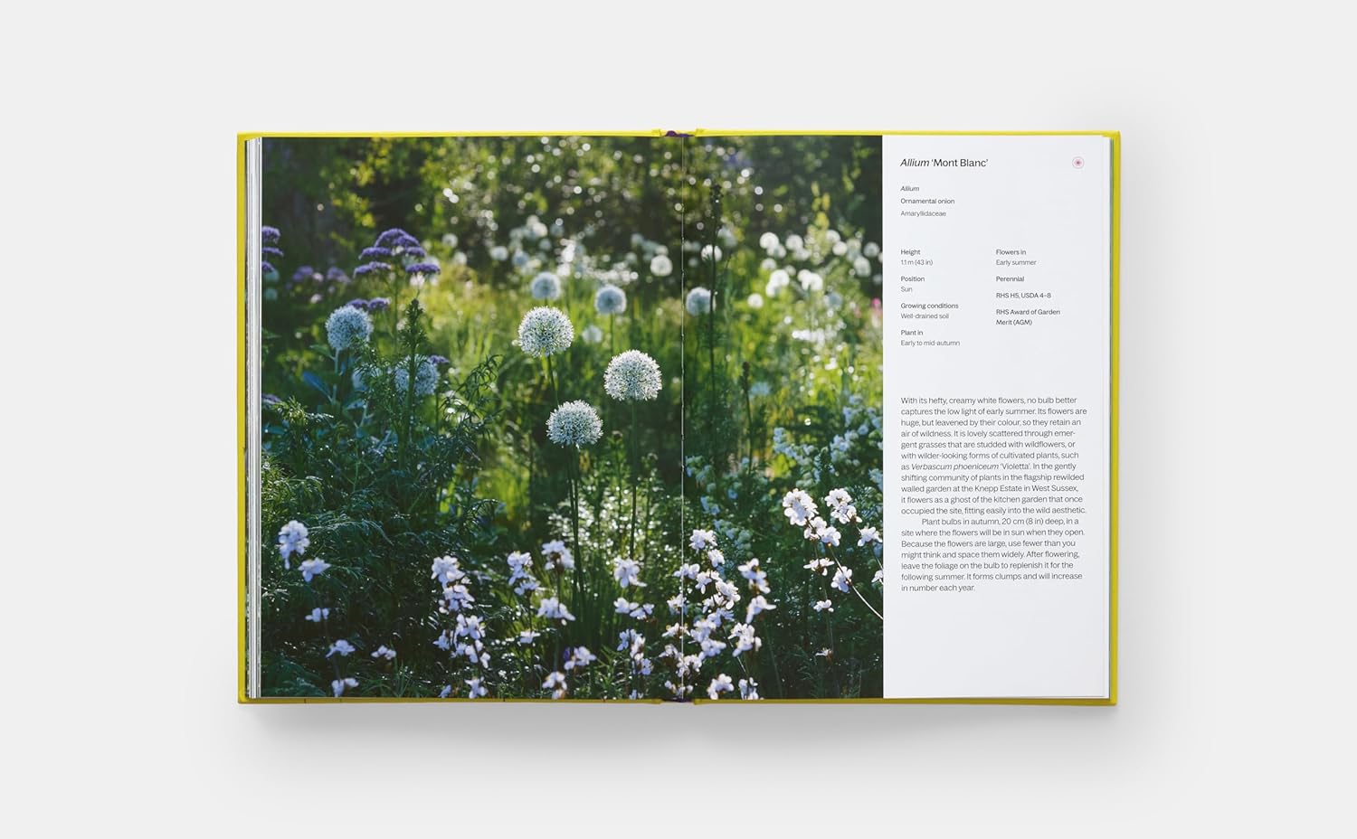 A Year in Bloom book inside