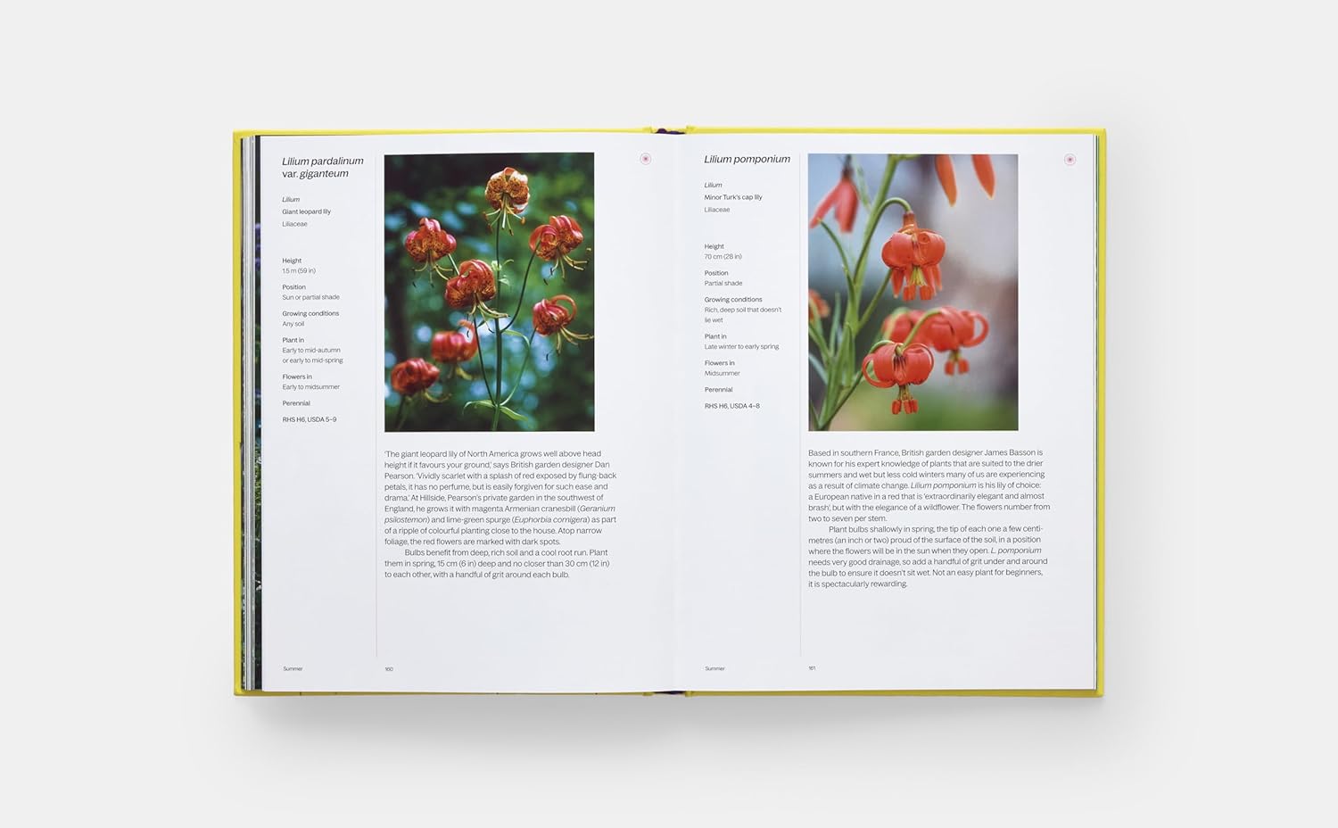 A Year in Bloom book inside