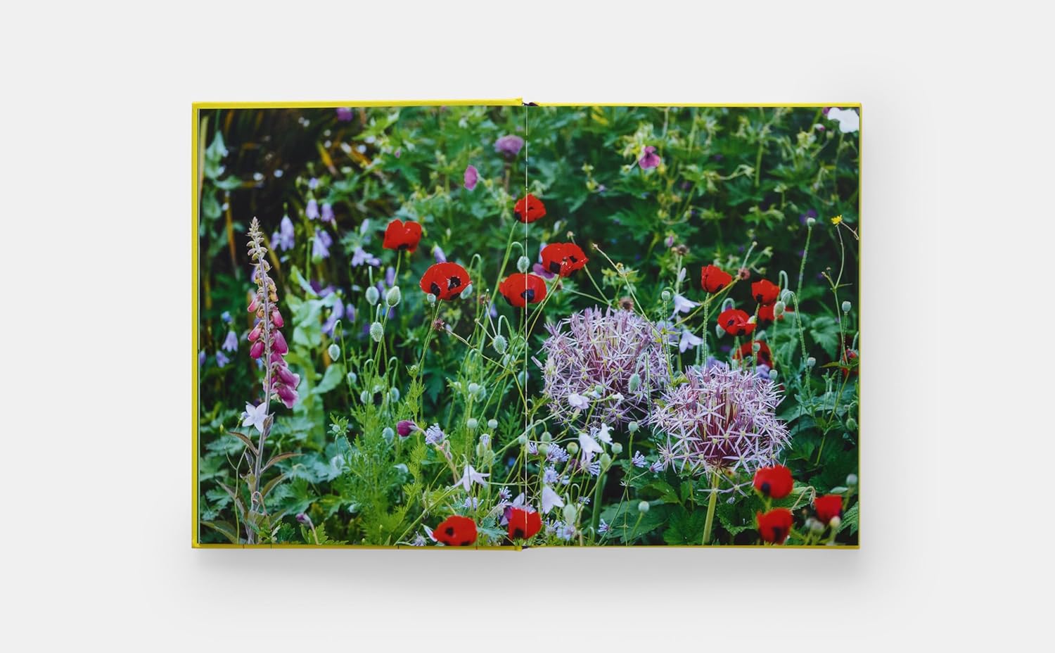A Year in Bloom book inside