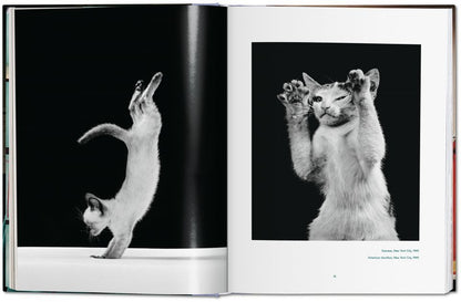 Walter Chandoha. Cats. Photographs 1942-2018
